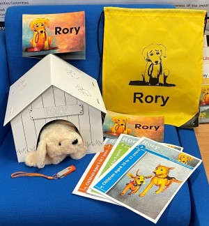 Rory pack image